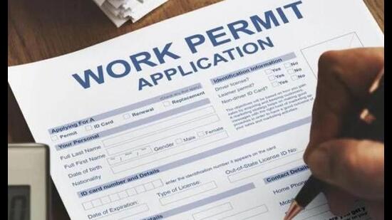 Work Permit News in the USA: Everything You Need to Know